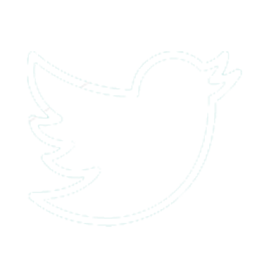 natori blue twitter icon